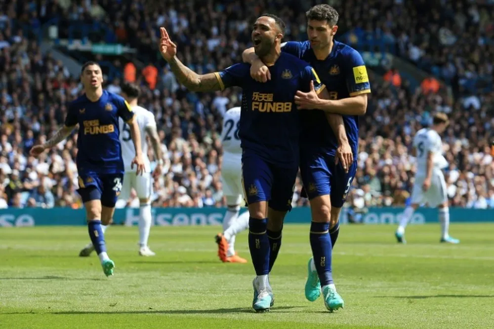 Newcastle vs Brighton: Newcastle United Ends Losing Streak with 3-1 Victory